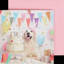 DécoTime wenskaart met opnamefunctie