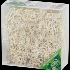 Home Accents decoratief mos