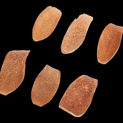 Home Accents natural droogmix