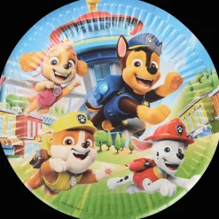 Kartonnen wegwerpbordjes