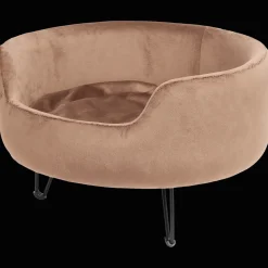 Kattenpoef op pootjes