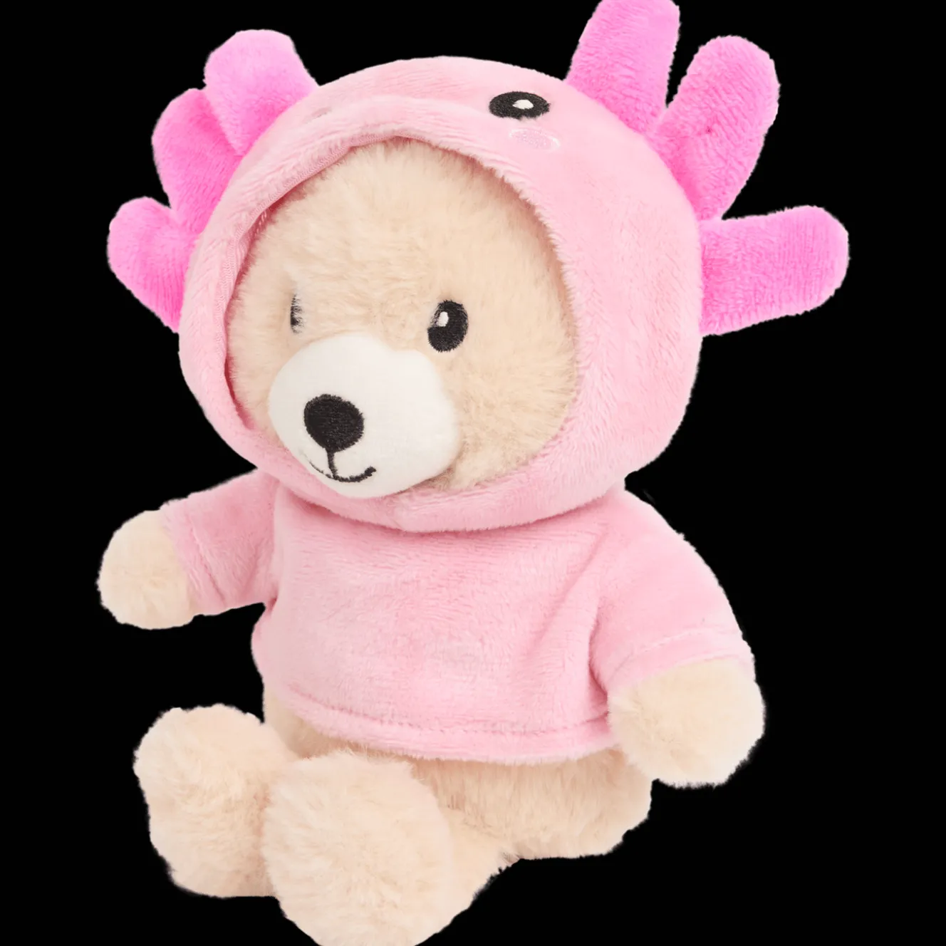 Knuffelbeer met kleding