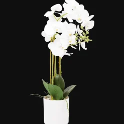 Kunst orchidee in pot