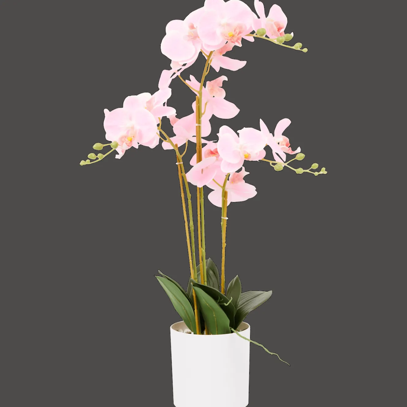 Kunst orchidee in pot