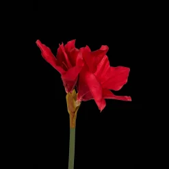 Kunstamaryllis op steel